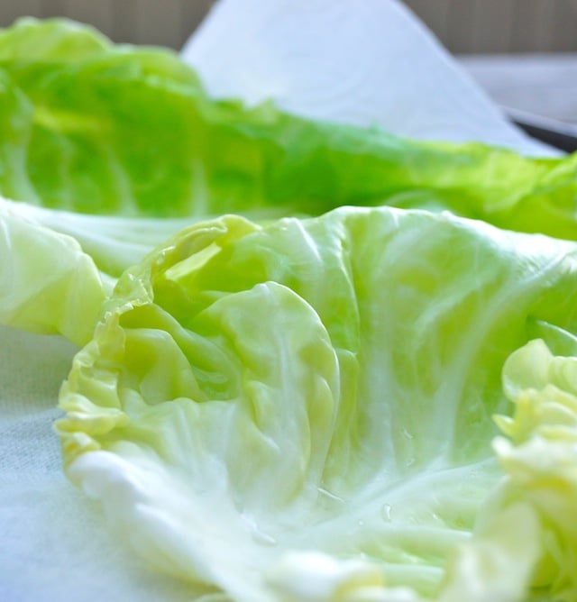 bright green cabbage leaves