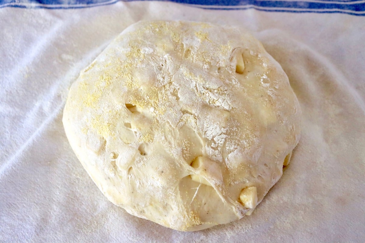 Asiago bread dough after the second rise, on a white and blue tea towel.