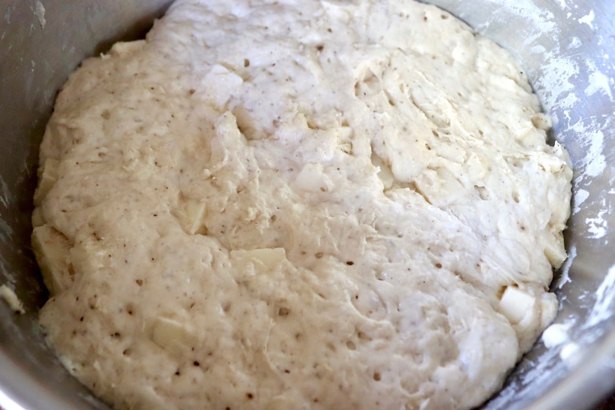 Bread dough after rising for about 18 hours with tiny bubbles on its surface.