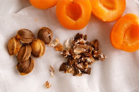 halves of apricots with pits removed.