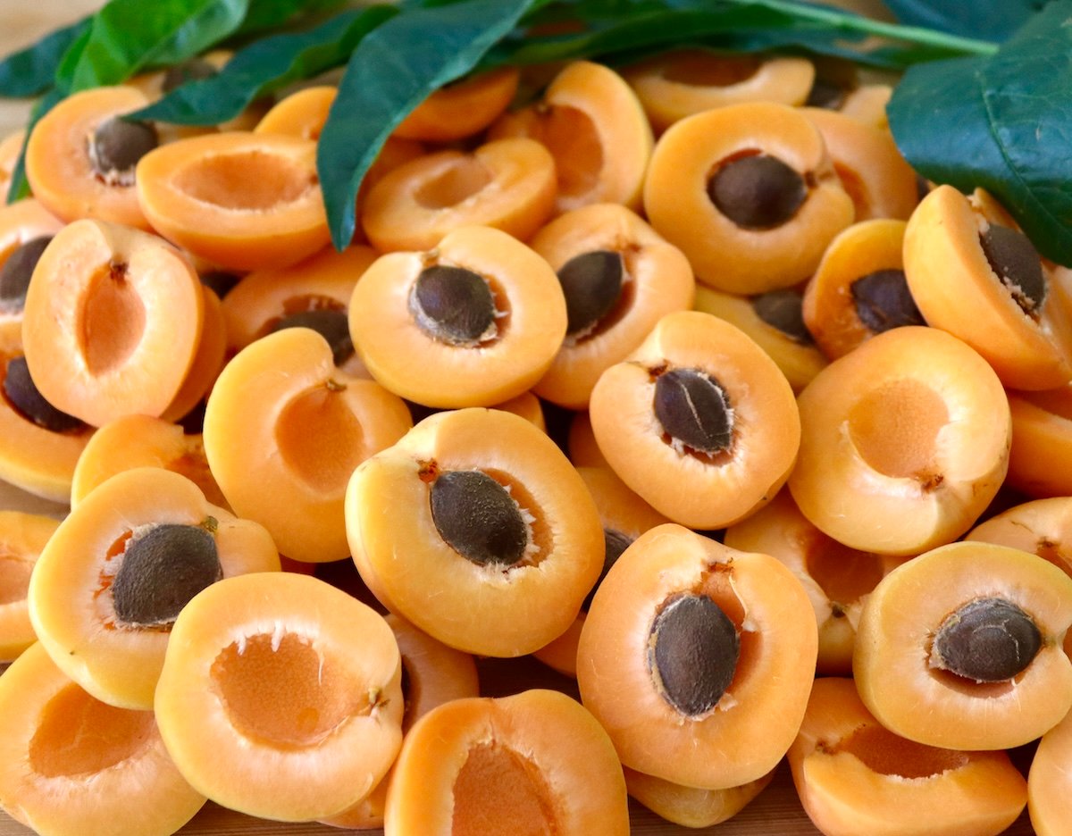 Dozens of apricot halves, some with pits.