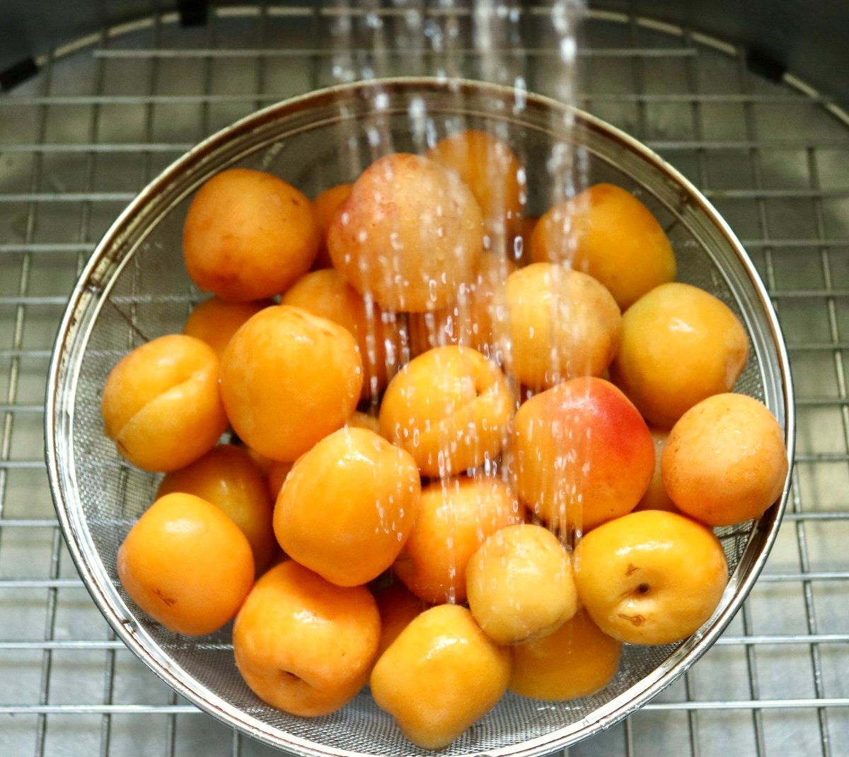 Strainer full with apricots with running water washing them.