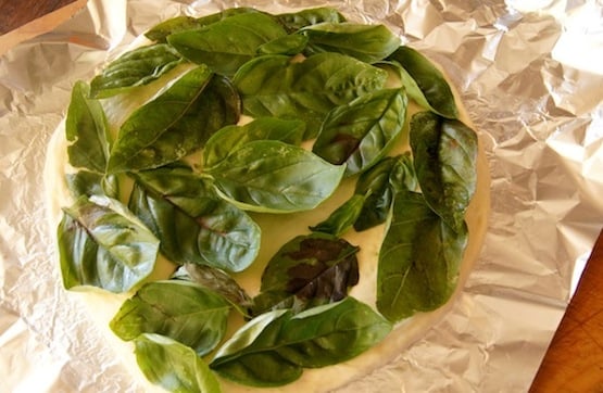 pizza dough with fresh basil leaves on top