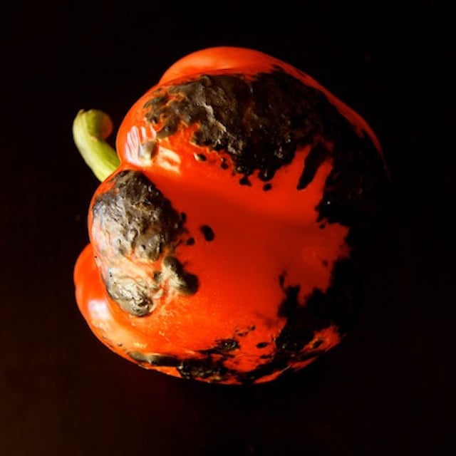 Fire Roasted Peppers Cooking On The Weekends