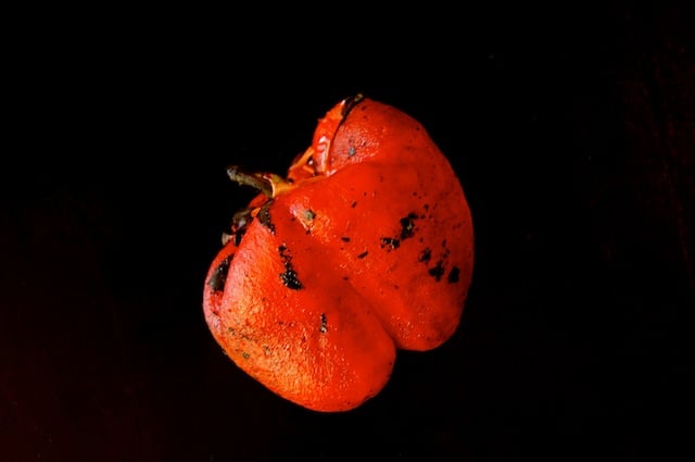 one red whole peeled pepper