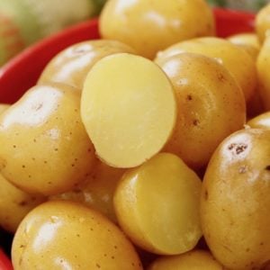 Baby Confit Potatoes sliced in red bowl