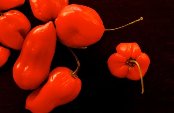 Red Savina Habanero peppers on a black background.