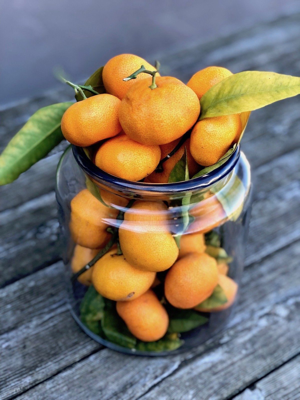 Big glass jar filled with dozens of Satsuma Mandarins, on wood table