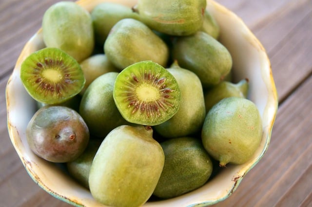 cream-colored bowl filled with baby kiwi and a coupel slicedin half