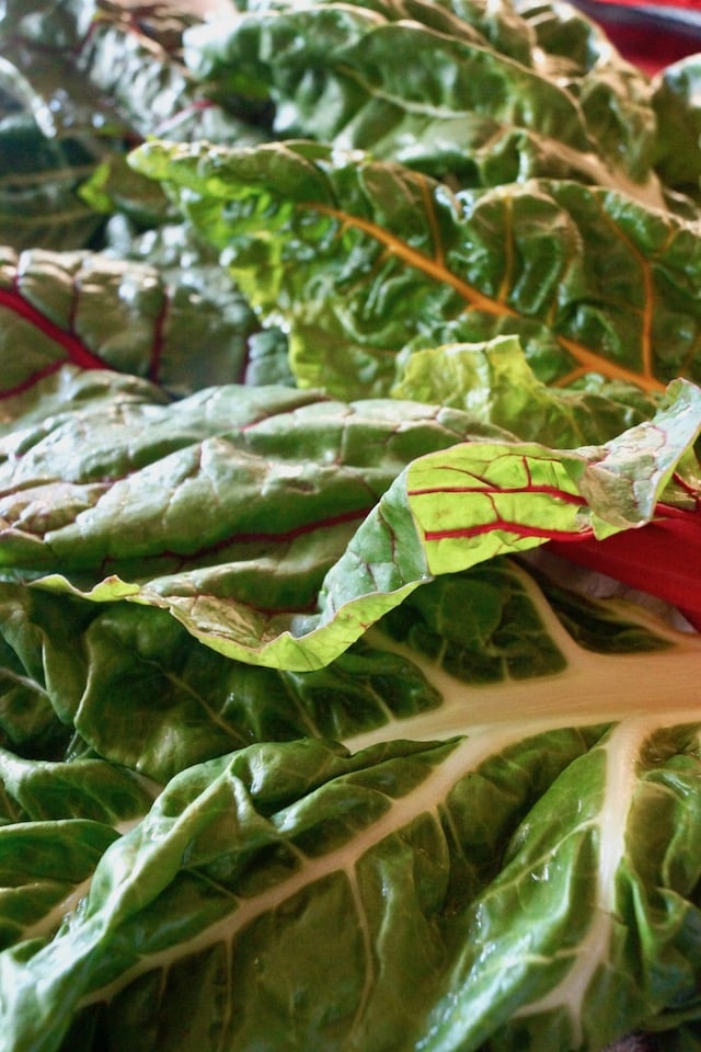 Rainbow Swiss chard leaves with light coming through them.