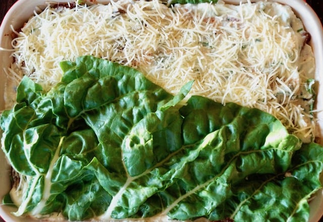 One large Swiss chard leaf over finely grated white cheese in a baking dish.