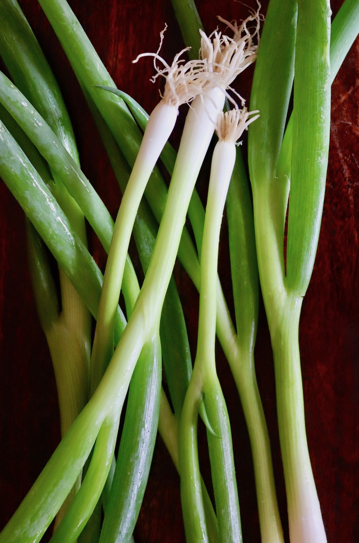 Several green onions on wood background.