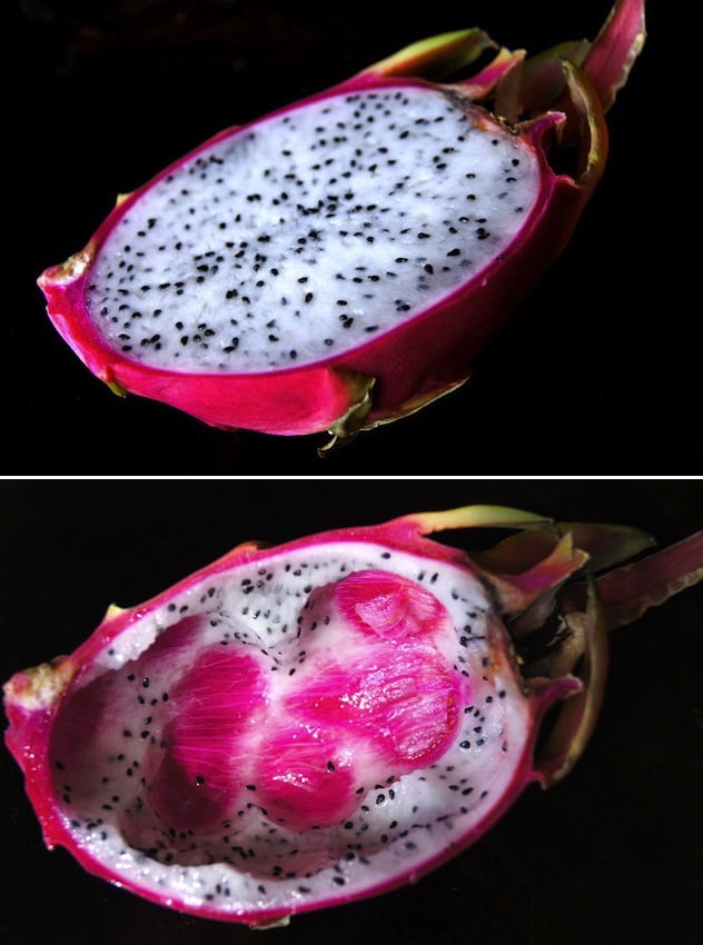 Two halves of a magenta dragon fruit - one full and the other with scoops taken out of it.