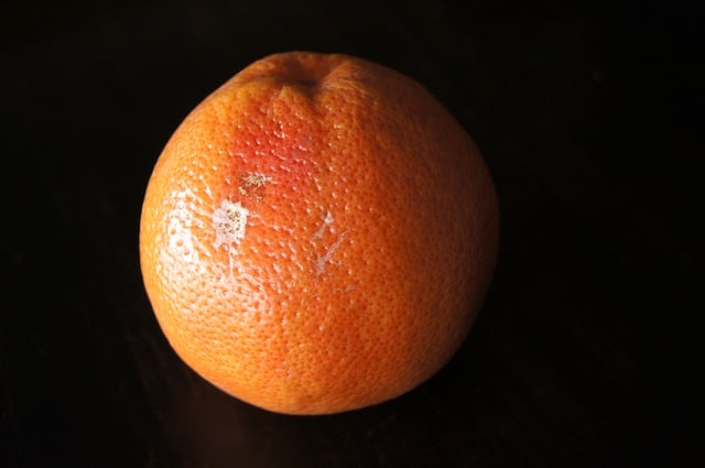 one whole grapefruit with black background