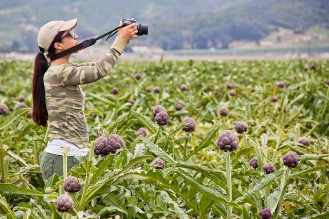 Valentina in a field of purple artichokes taking photos.