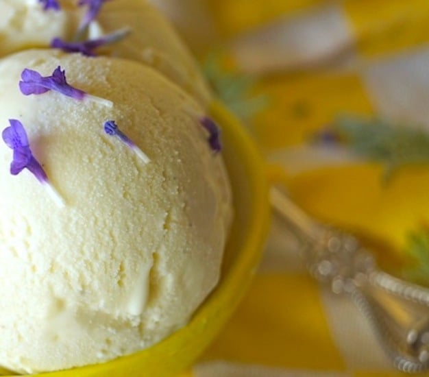 One scoop of Lemon-Lavender Frozen Custard in a yellow bowl on a yellow and white checked cloth.