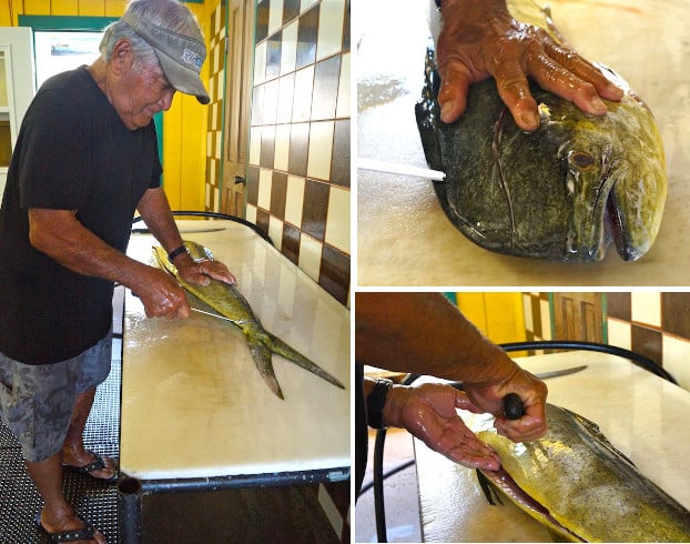 Mahi Mahi being cleaned by fish monger
