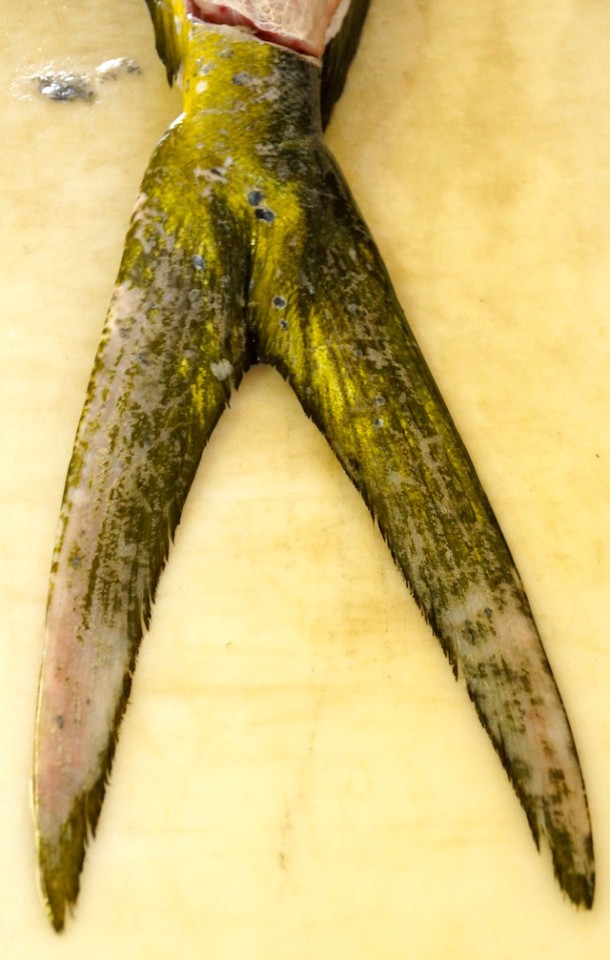 Hale I'A Da Fish House in Kawaihae Cooking On The Weekends