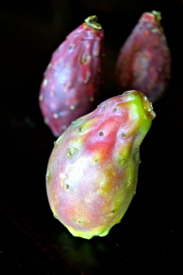 three prickly cactus pears with a black background 