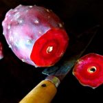 bright magenta cactus pear with end cut off