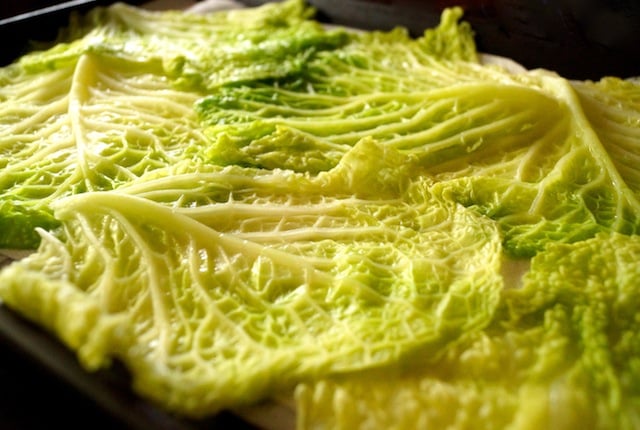 Savoy cabbage leaves spread out on sheet pan