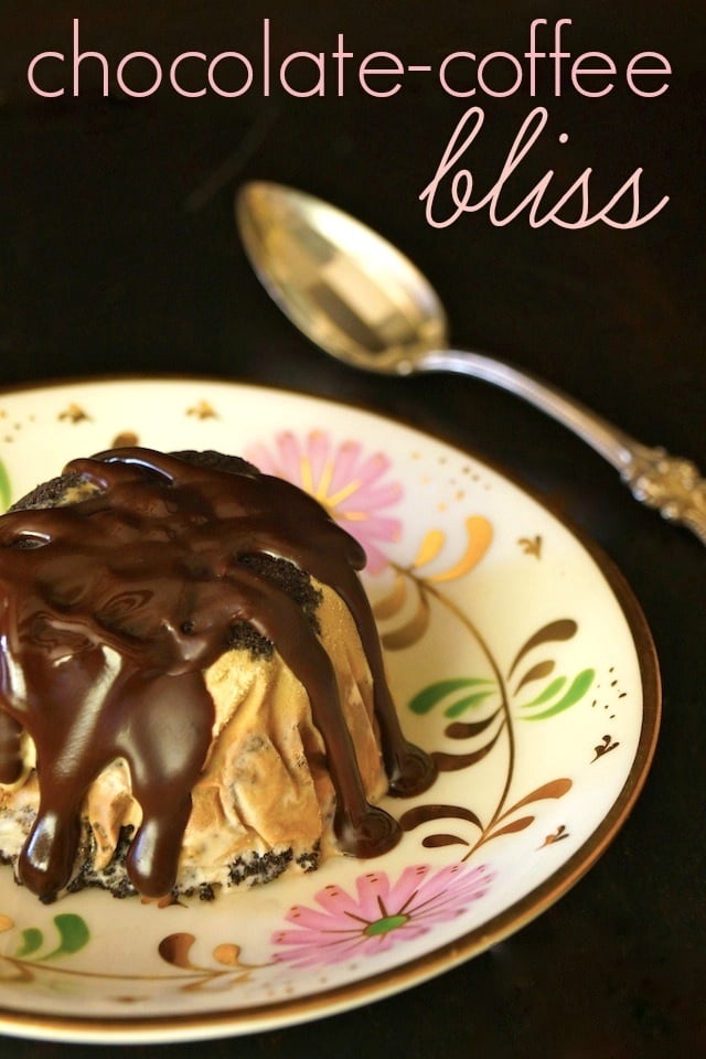 Individual Coffee-Chocolate Mud Pie Recipe with Espresso-Chocolate Sauce on a pretty gold-rimmed plate with pink flowers.