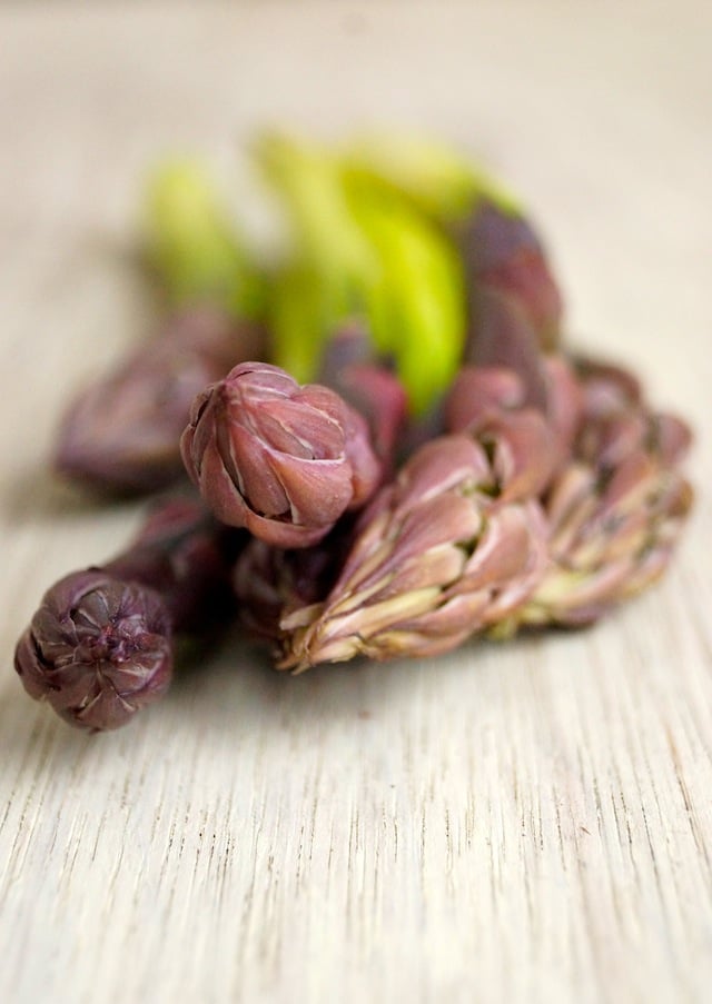 Close up of the tips of purple asparagus with blurred green stems.