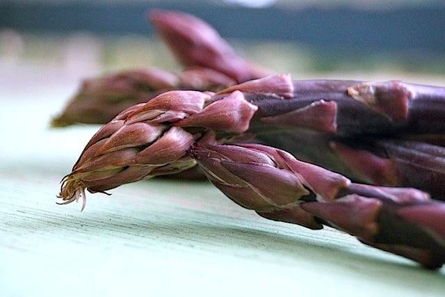 Close up of the tips of a few dark purple asparagus spears on a light green piece of wood.