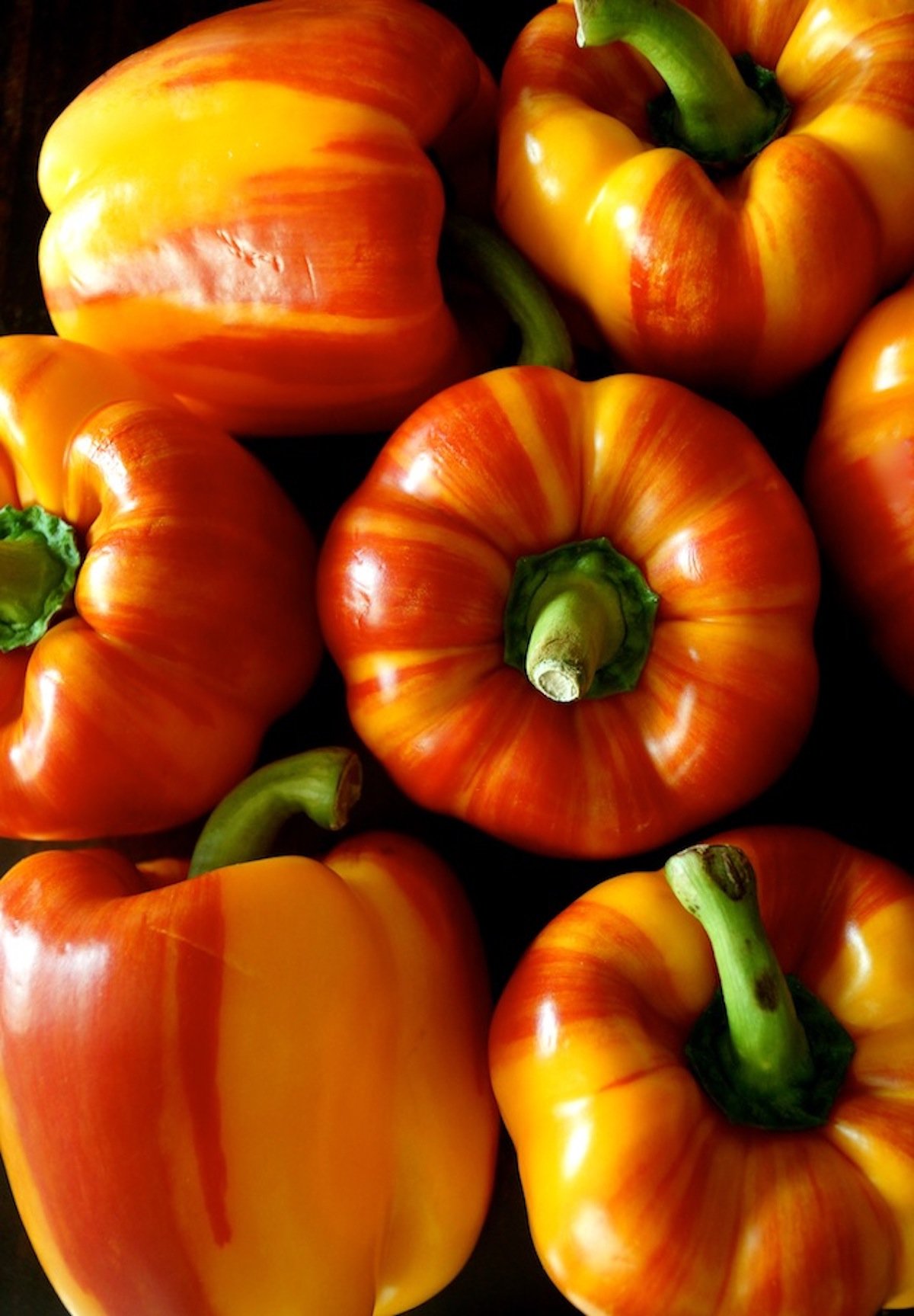 Several red-orange-yellow Enjoya Striped Bell Peppers with bright green stems, all squeezed together.