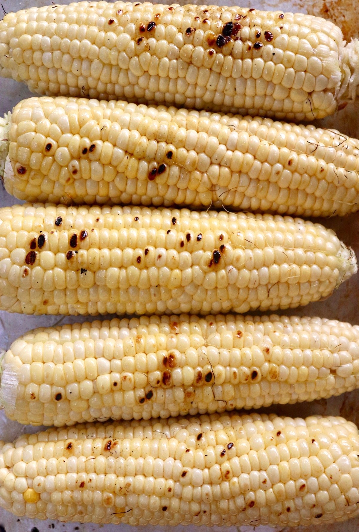 Several cobs of grilled white-yellow corn on a baking sheet.