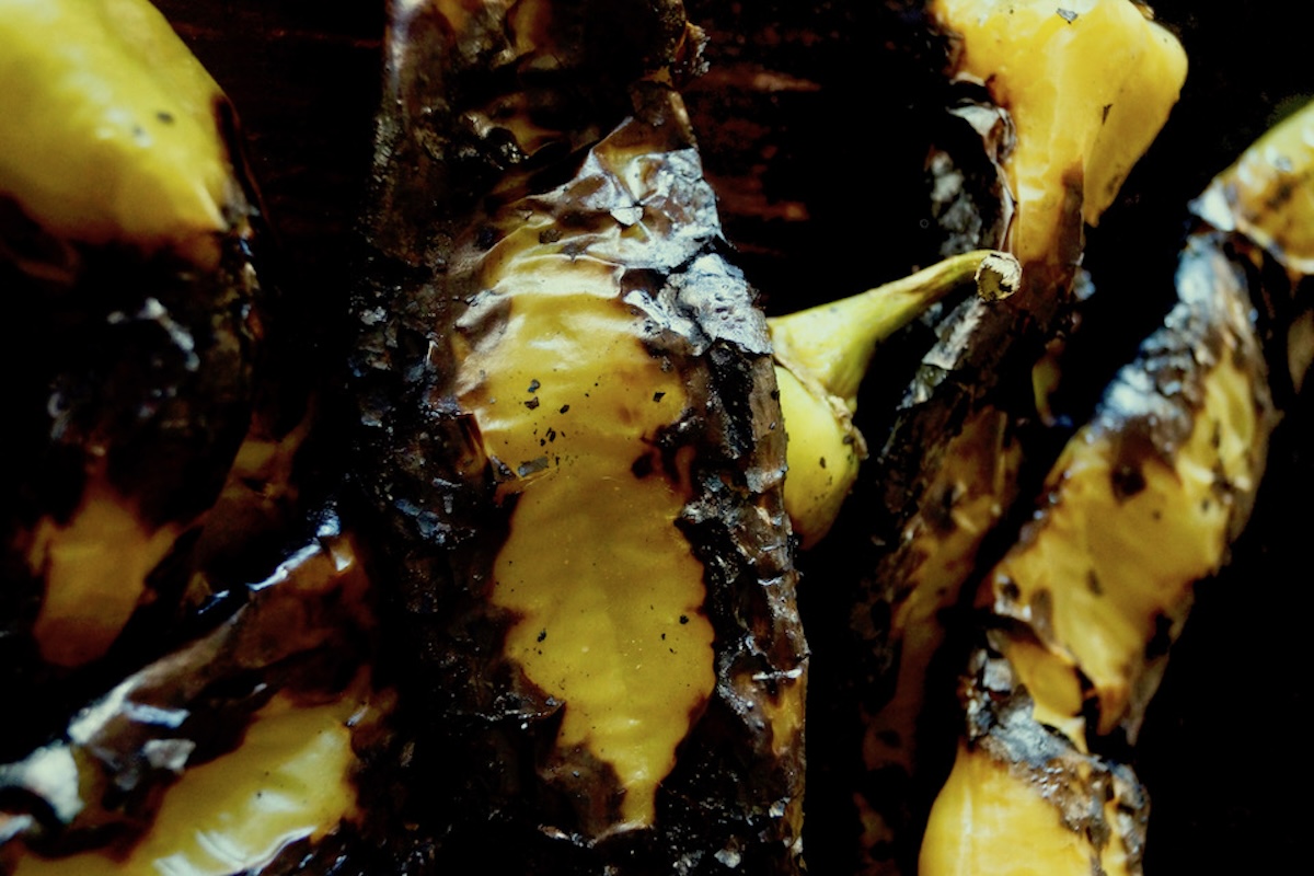 Several roasted hatch chiles in a pile.