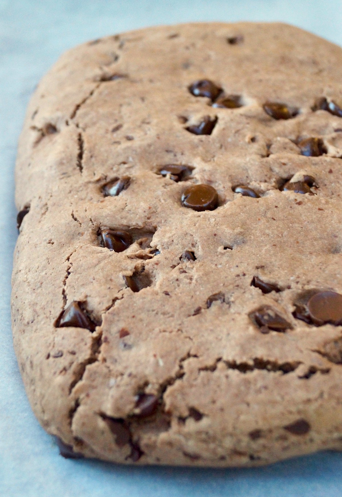 Baked slab of Glute-Free Chocolate Biscotti