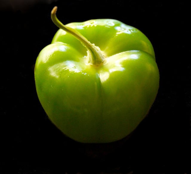 one bright green tomatillo with husk removed