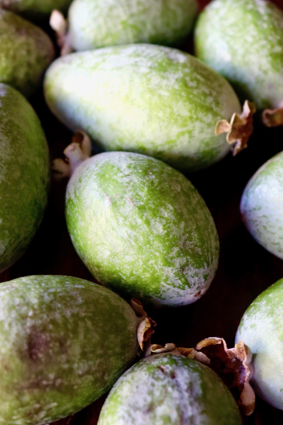 Several green guavas on dark wood surface.