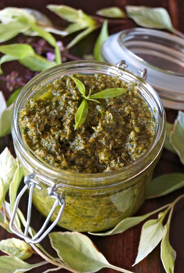 Basil-Lemon Verbena Pesto Recipe in a jar with a sprig of lemon verbena on top.