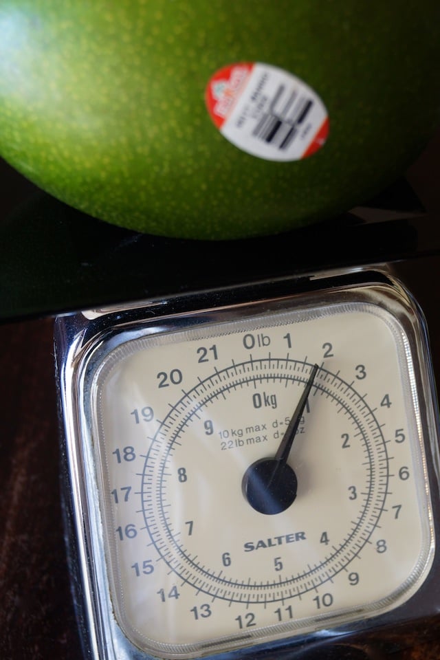 One very large Keitt Mango on a scale measuring 2 pounds.