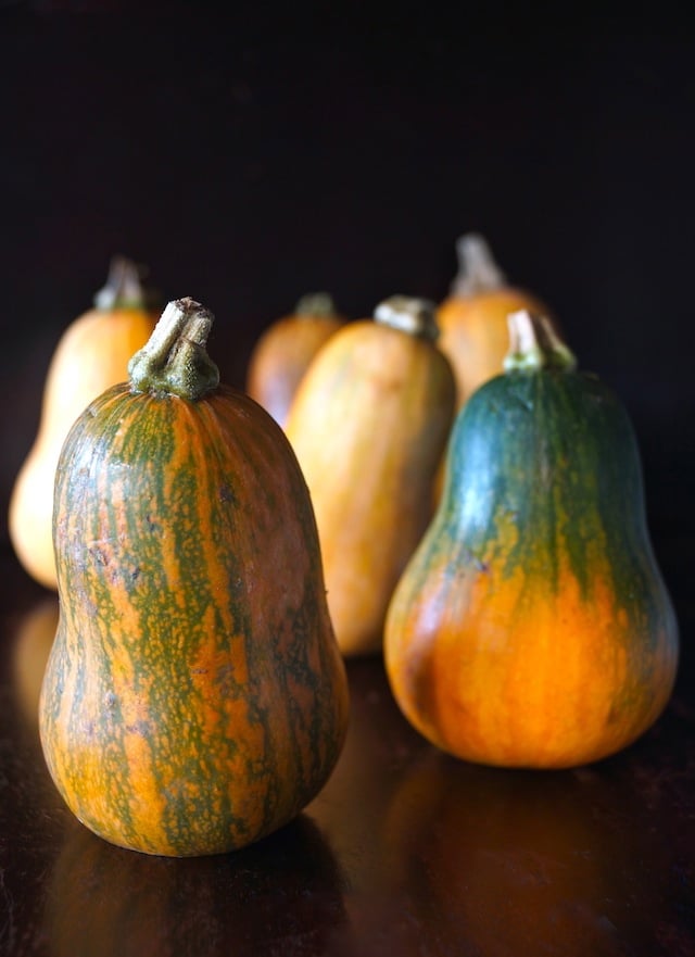 Caramelized Onion-Bacon and Cranberry Honeynut Squash Recipe - a group of orange-green honeynut squash sitting upright