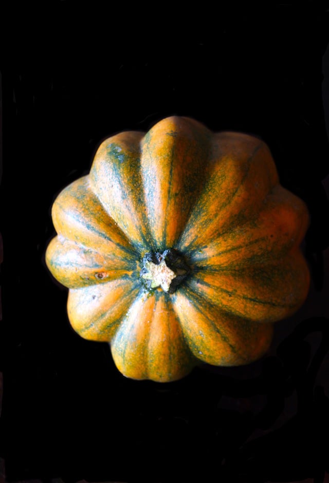 Close up of the bottom of an acorn squash.