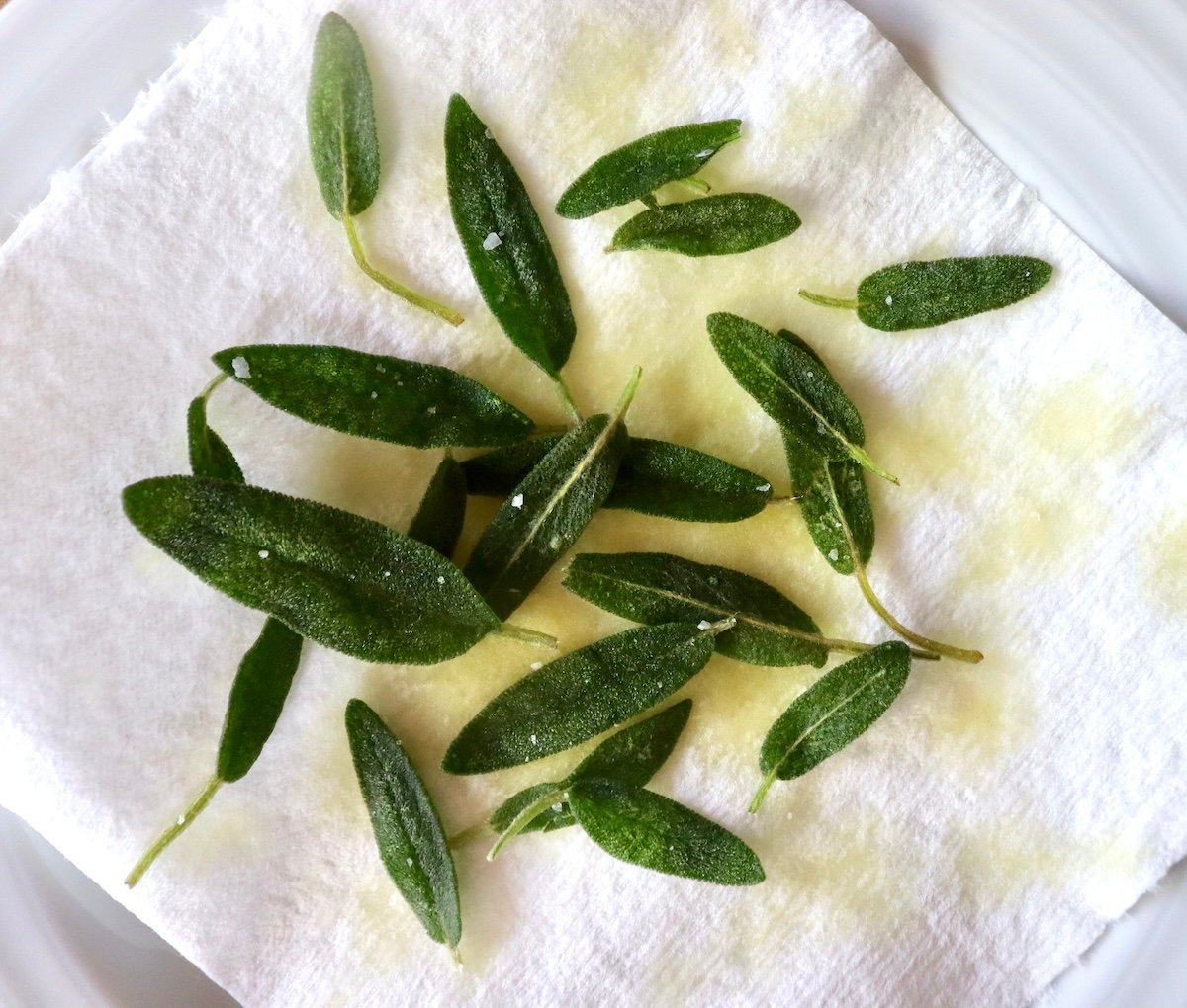 Several crispy sage leaves on a paper towel.