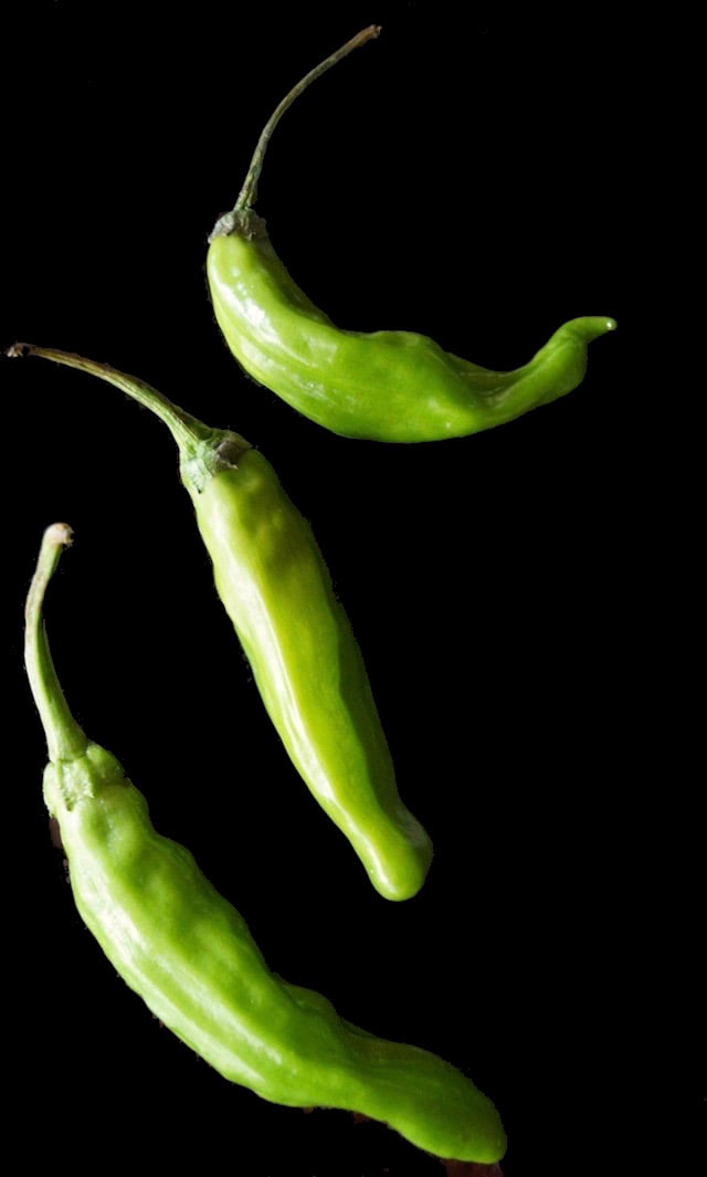 3 raw shishitos on a black background.