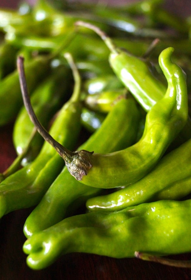 pile of fresh shishito peppers