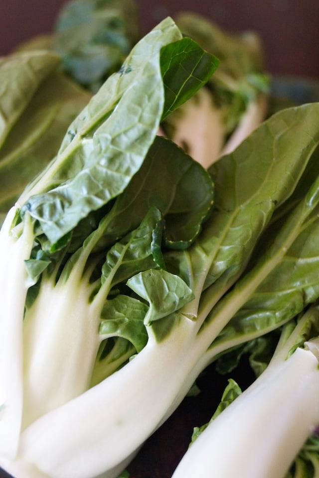 baby bok choy with dark green leaves and white stems