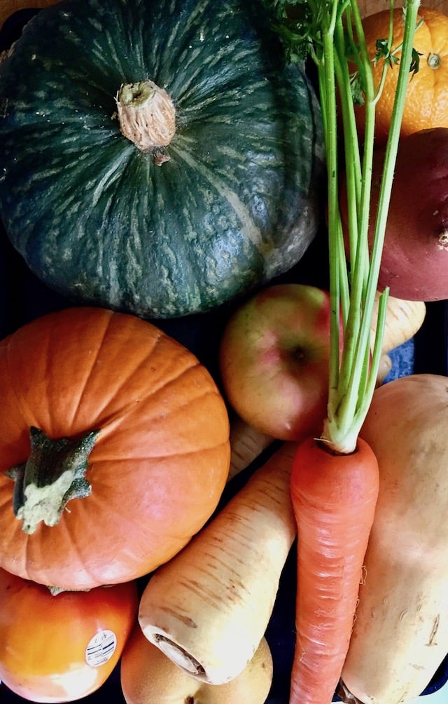 fresh procuce, including pumpkin, carrot, apple, sweet potato, Kabocha squash, parsnip and butternut squash