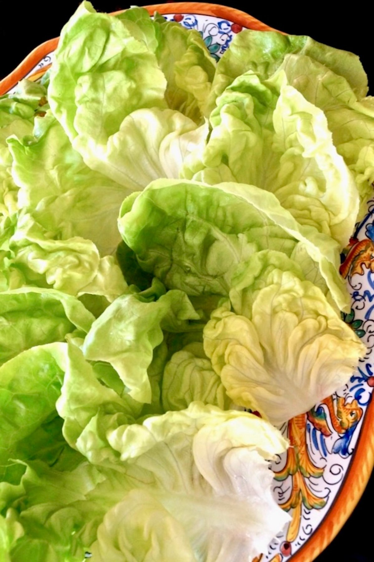 Nicoise Salad Cups Italian painted plate with about a dozen small butter lettuce cups.