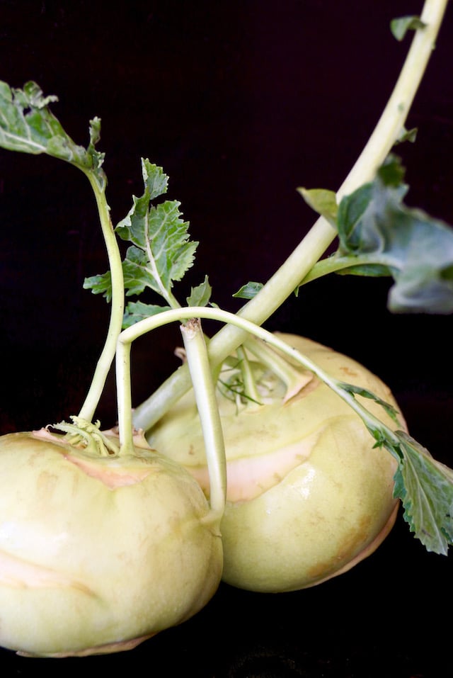 two Kohlarabi with stems falling down and black background