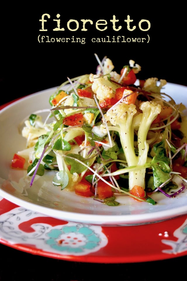 Lemon Marinated Fioretto Salad on a white plate with a red plate beneath it.