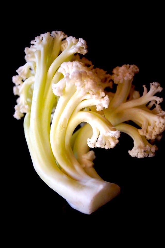 One small piece of Fioretto - flowering cauliflower, on a black background.