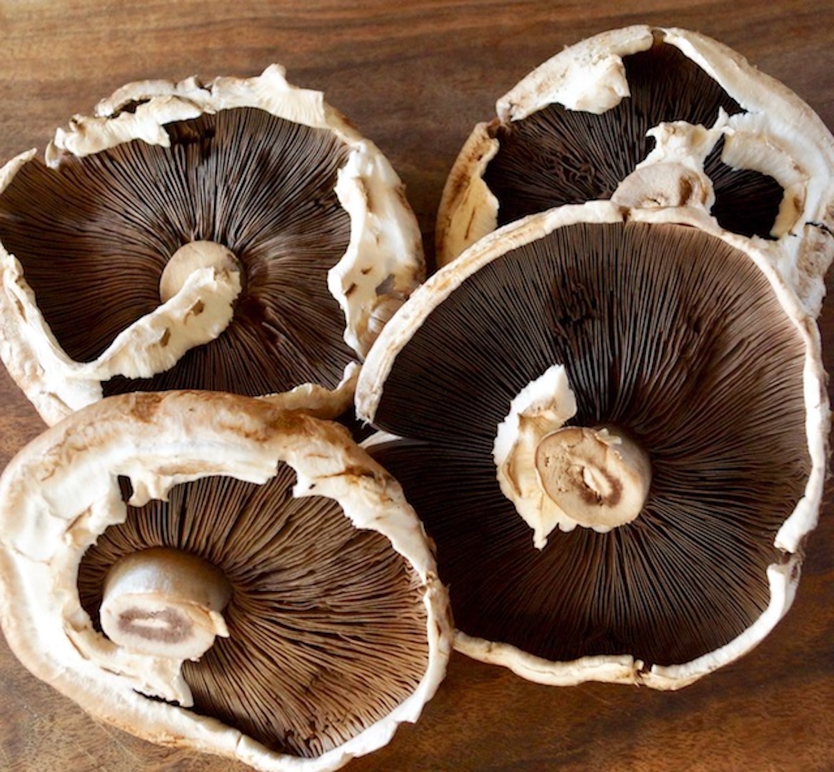 Marinated-Grilled-Portobello-Mushrooms 4 upside down portobello mushrooms.