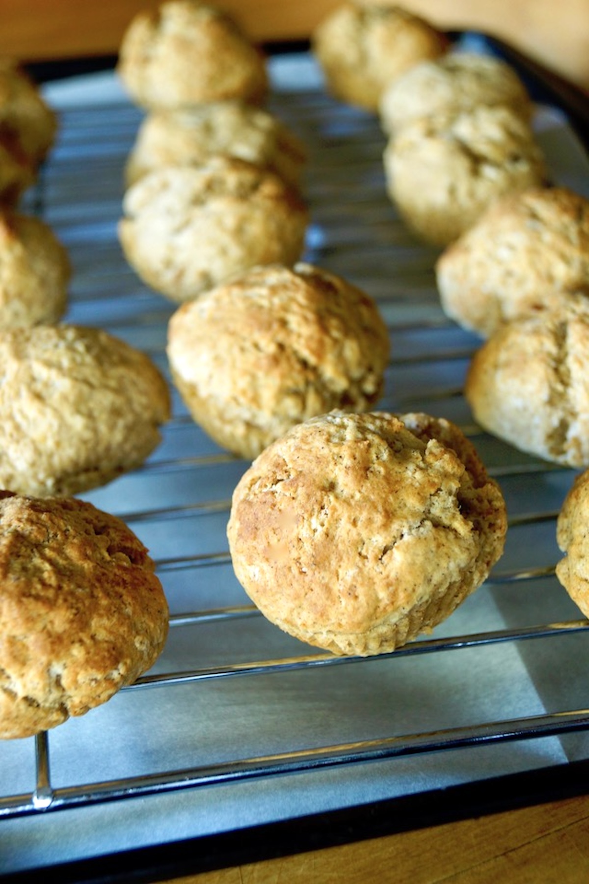 Baked donut holes on a baking rack.