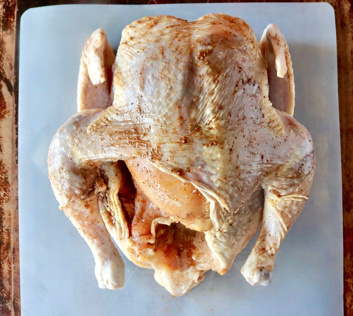 Whole raw chicken with spices rubbed into the skin and beneath it.